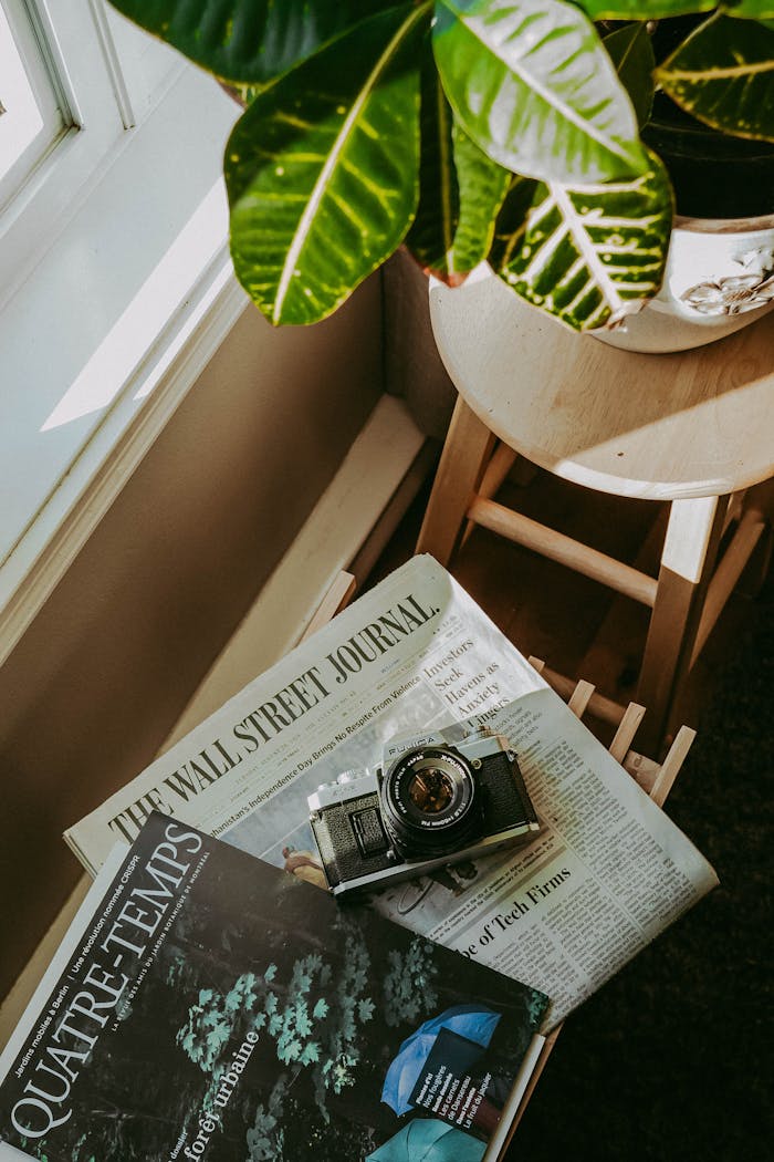 A vintage camera placed on a Wall Street Journal newspaper and magazine next to a houseplant.